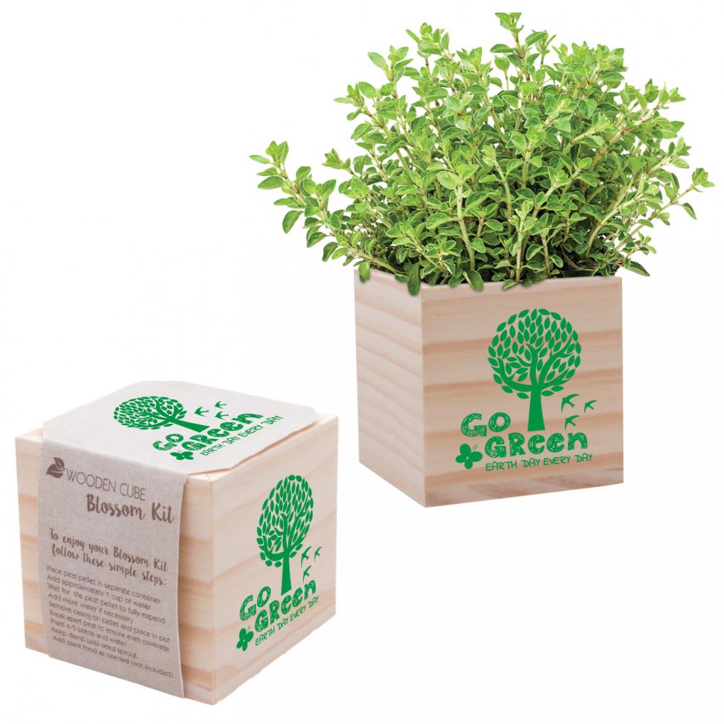 Wooden Cube Planting Kit Earth Day Promotional Product