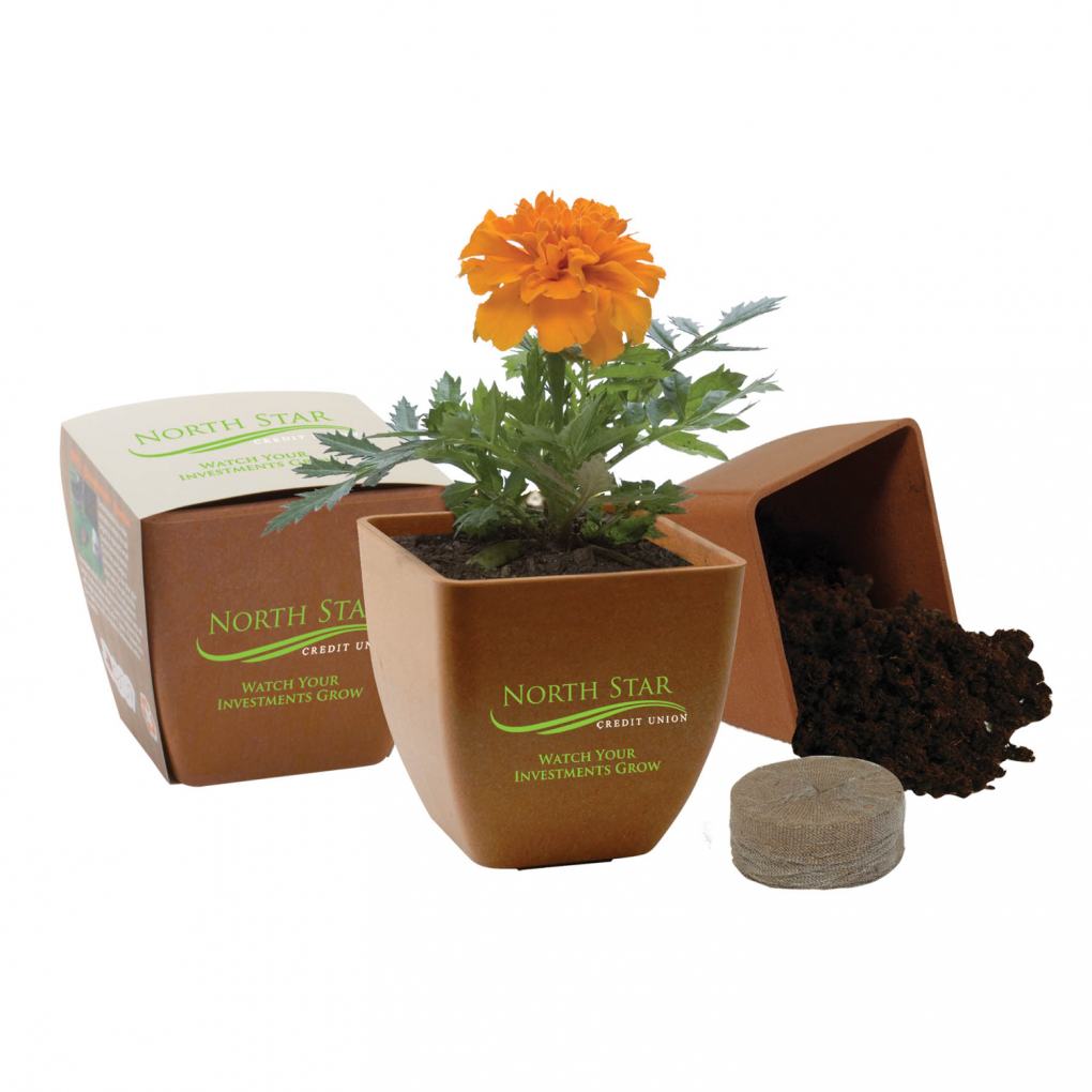 Earth Day Bamboo Planter Kit | Biodegradable