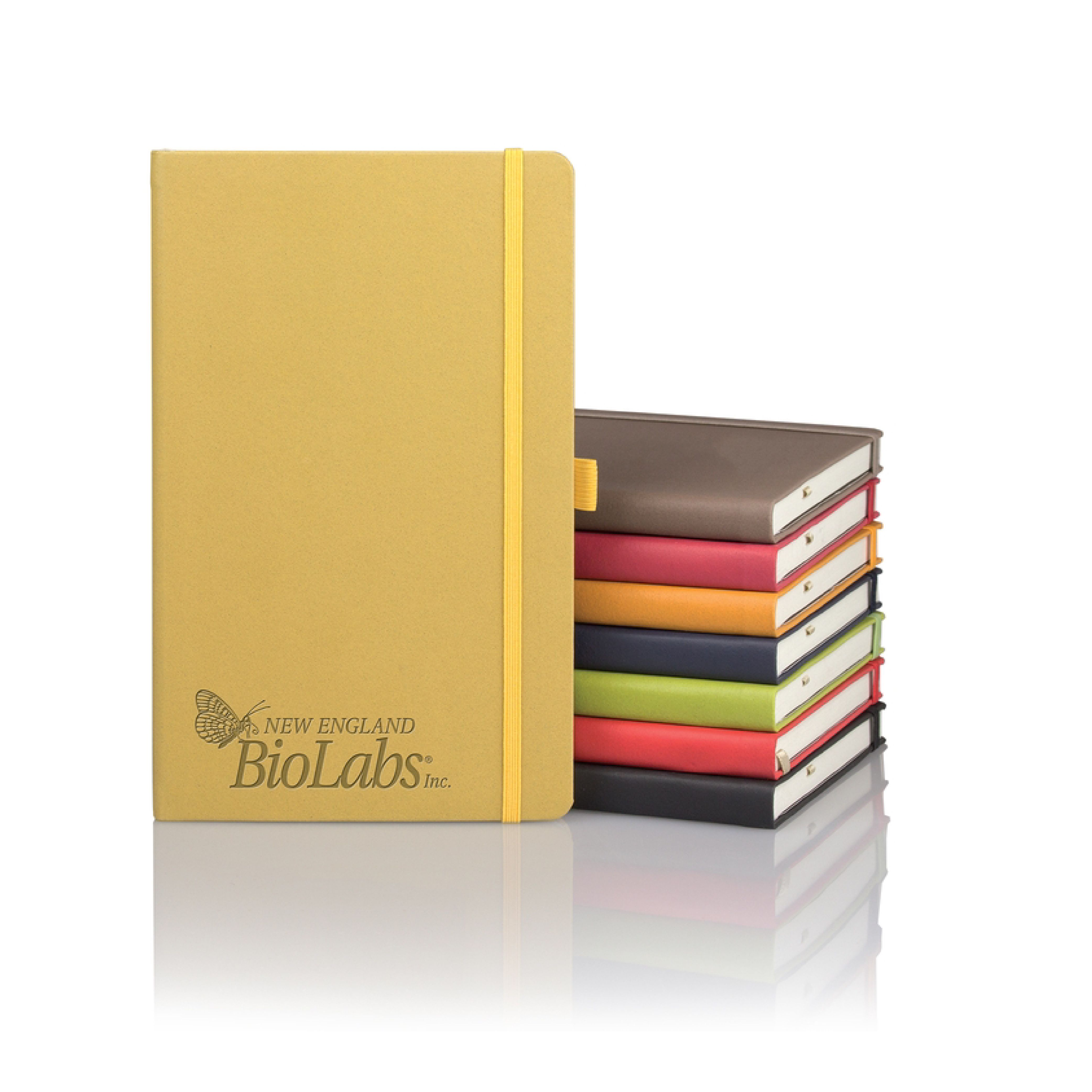 Eco Friendly Journals Made From Apple Peels