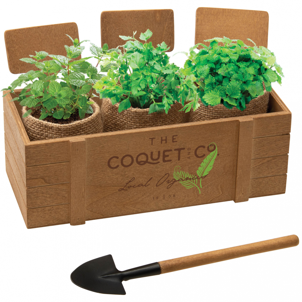 Earth Day Wooden Window Box Planter Kit