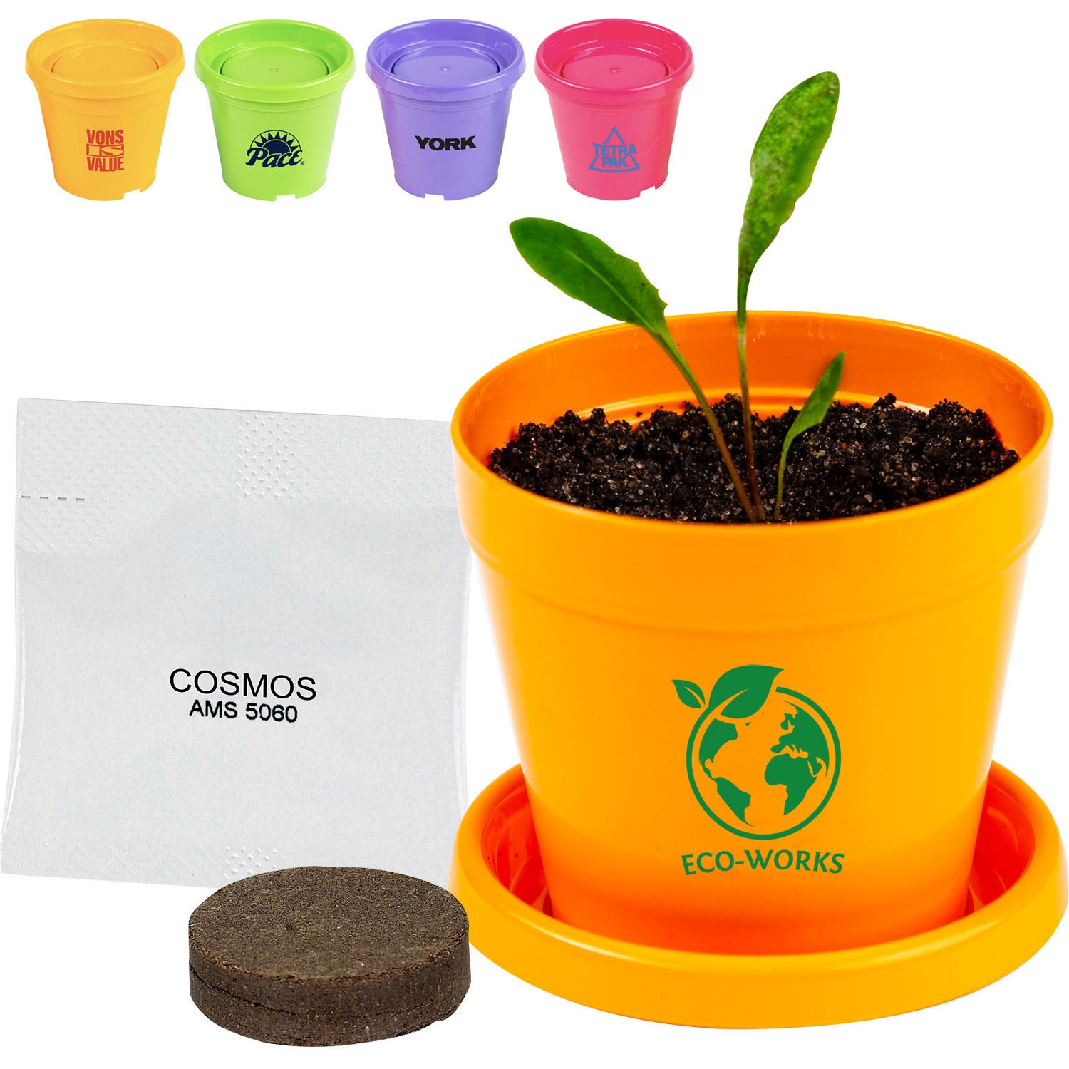 Colorful Planter Kit Earth Day Planter Kit Custom Imprinted Pot with seeds