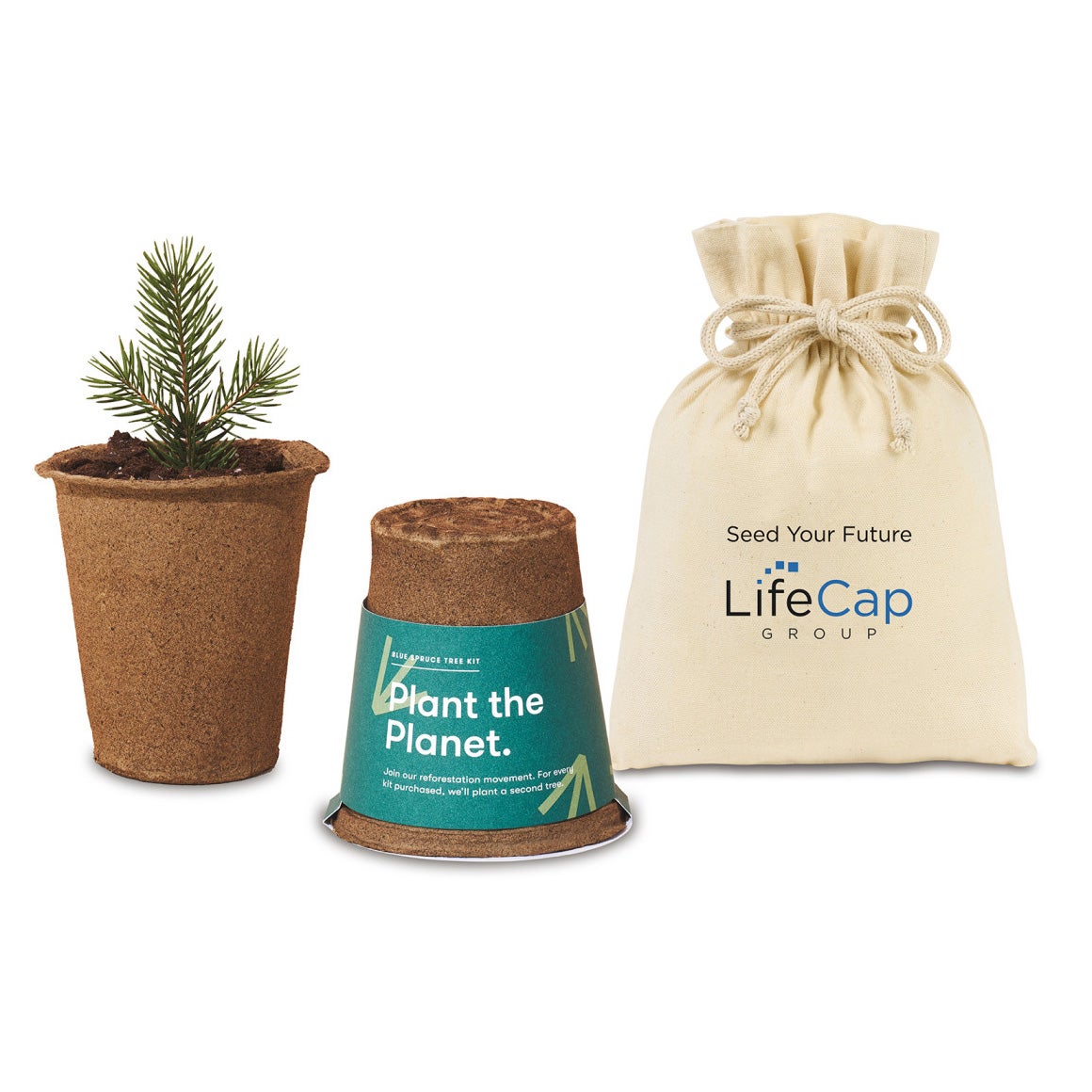 Spruce Tree Grow Kit USA Made