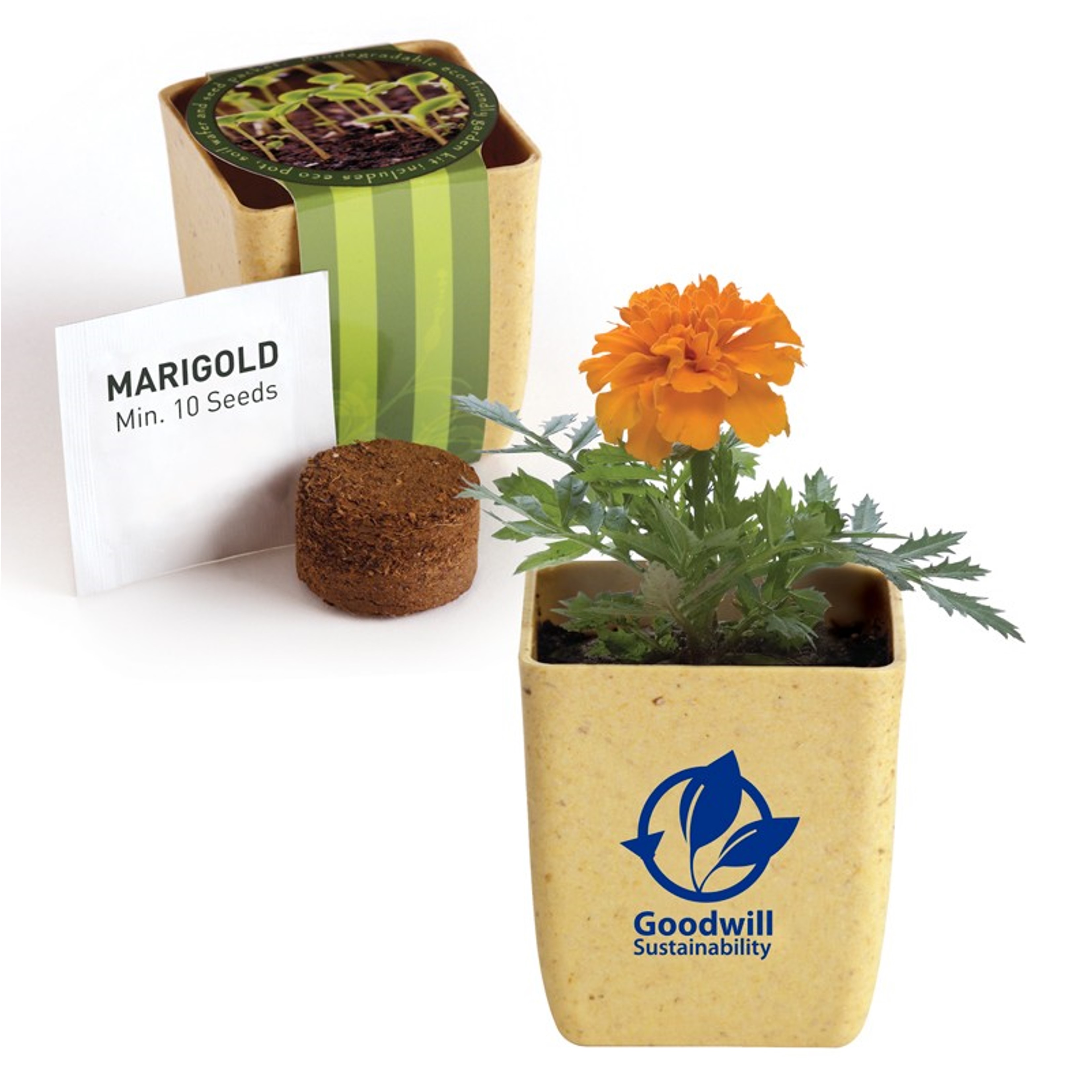 Personalized Flower Pots | Reclaimed Materials