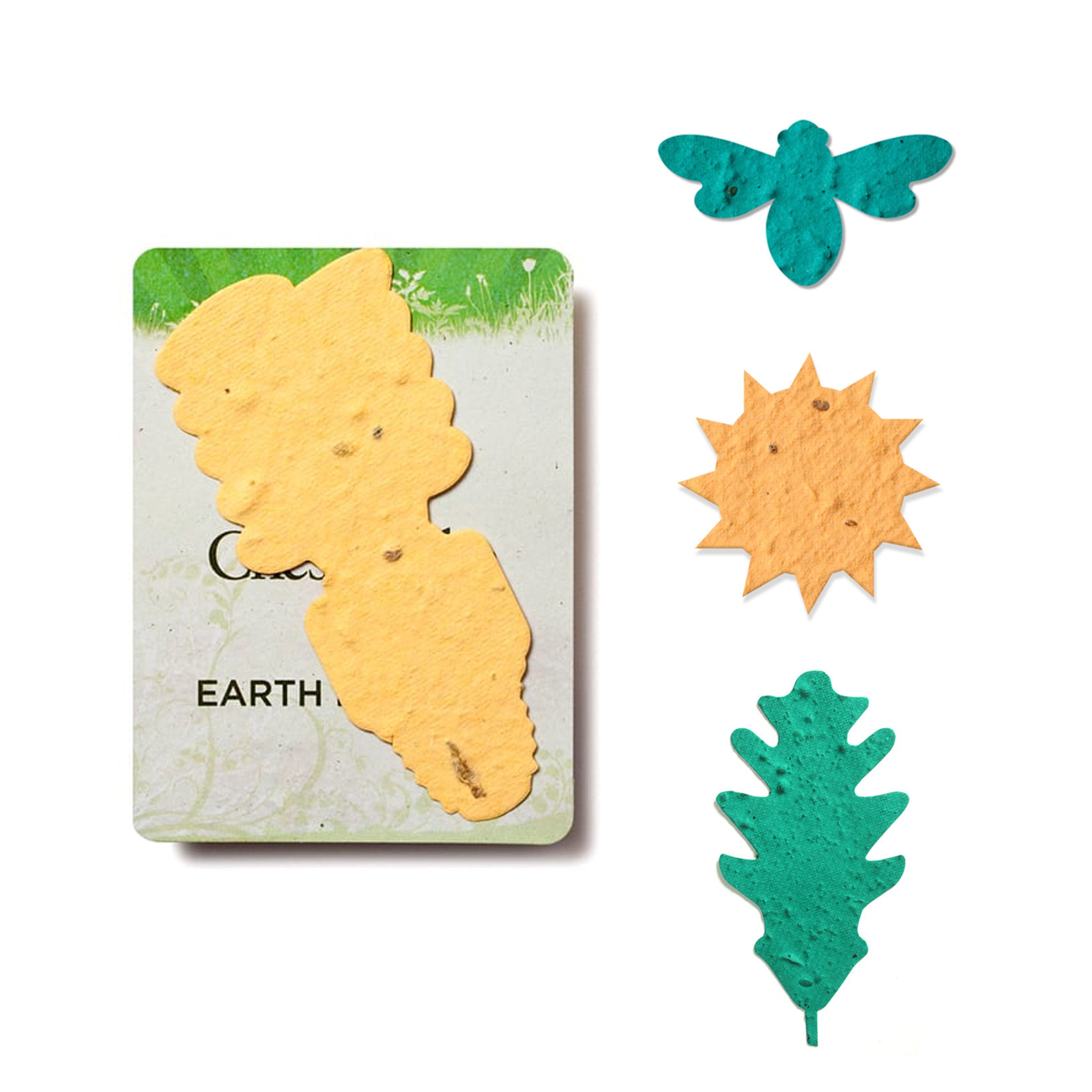 Conservation Awareness Seeded Paper Plantable Shapes | USA Made 