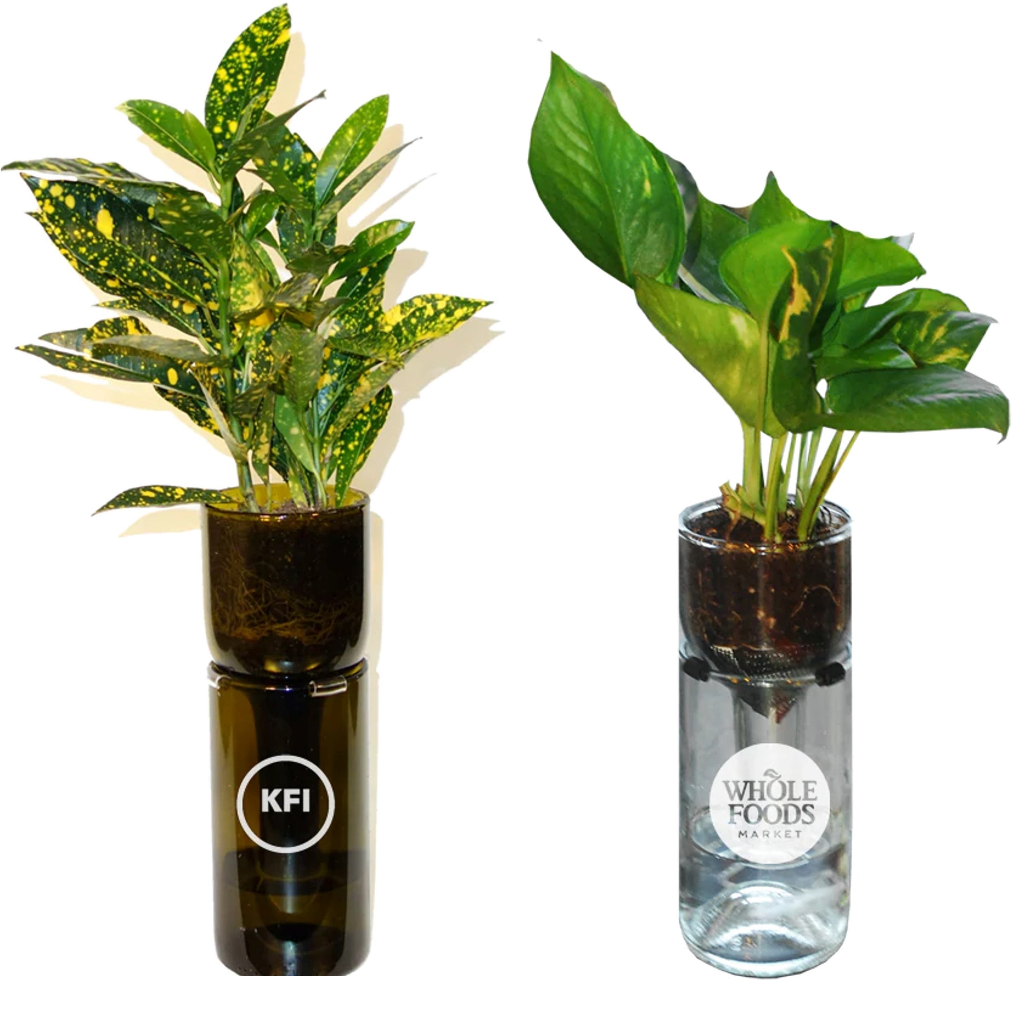 Self Watering Recycled Glass Planter Kit