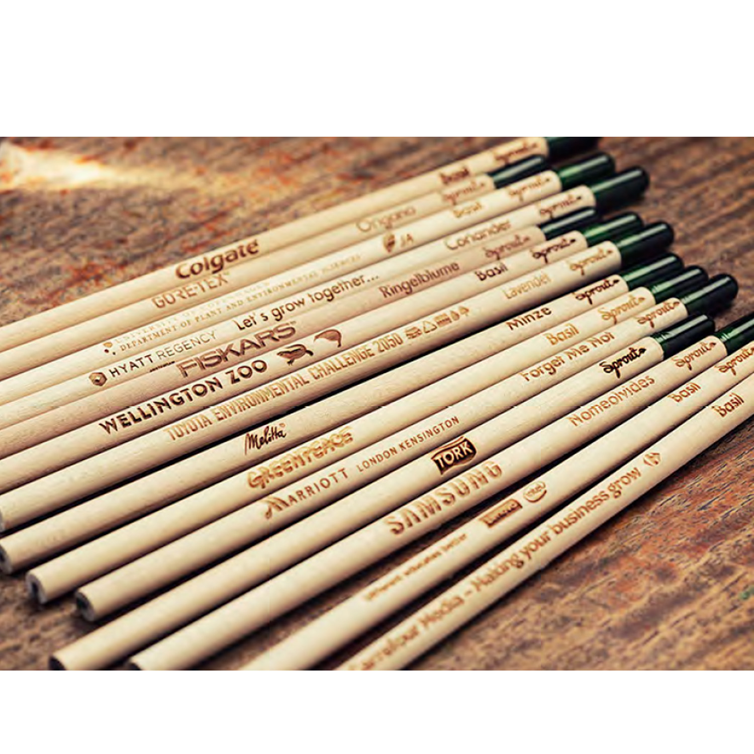 Custom Plantable Pencils | Sustainable Certified 