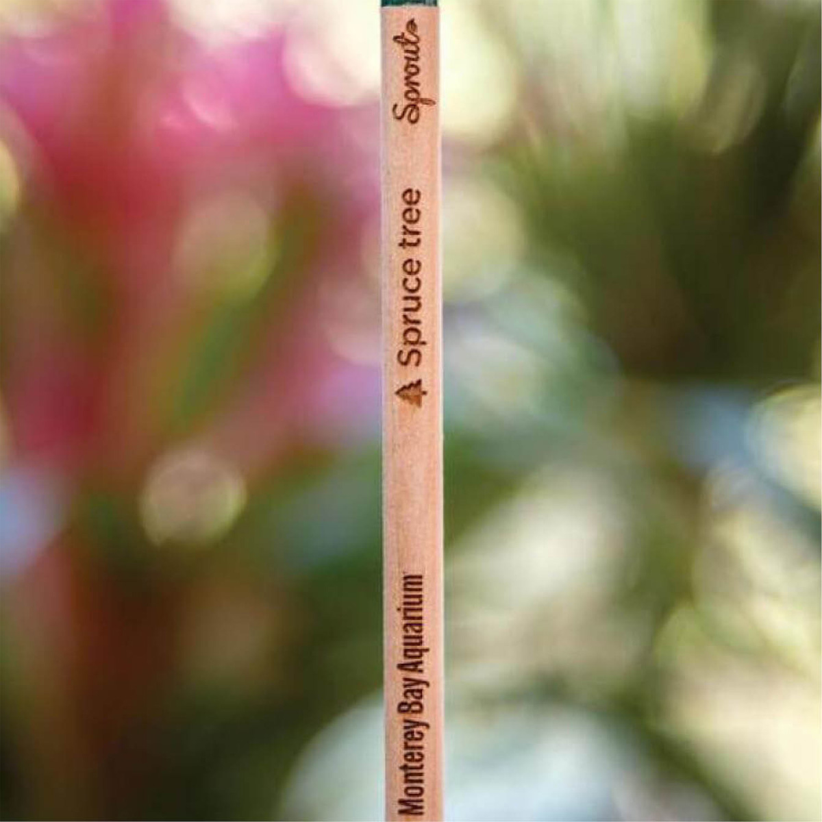 Custom Plantable Pencils | Sustainable Certified 