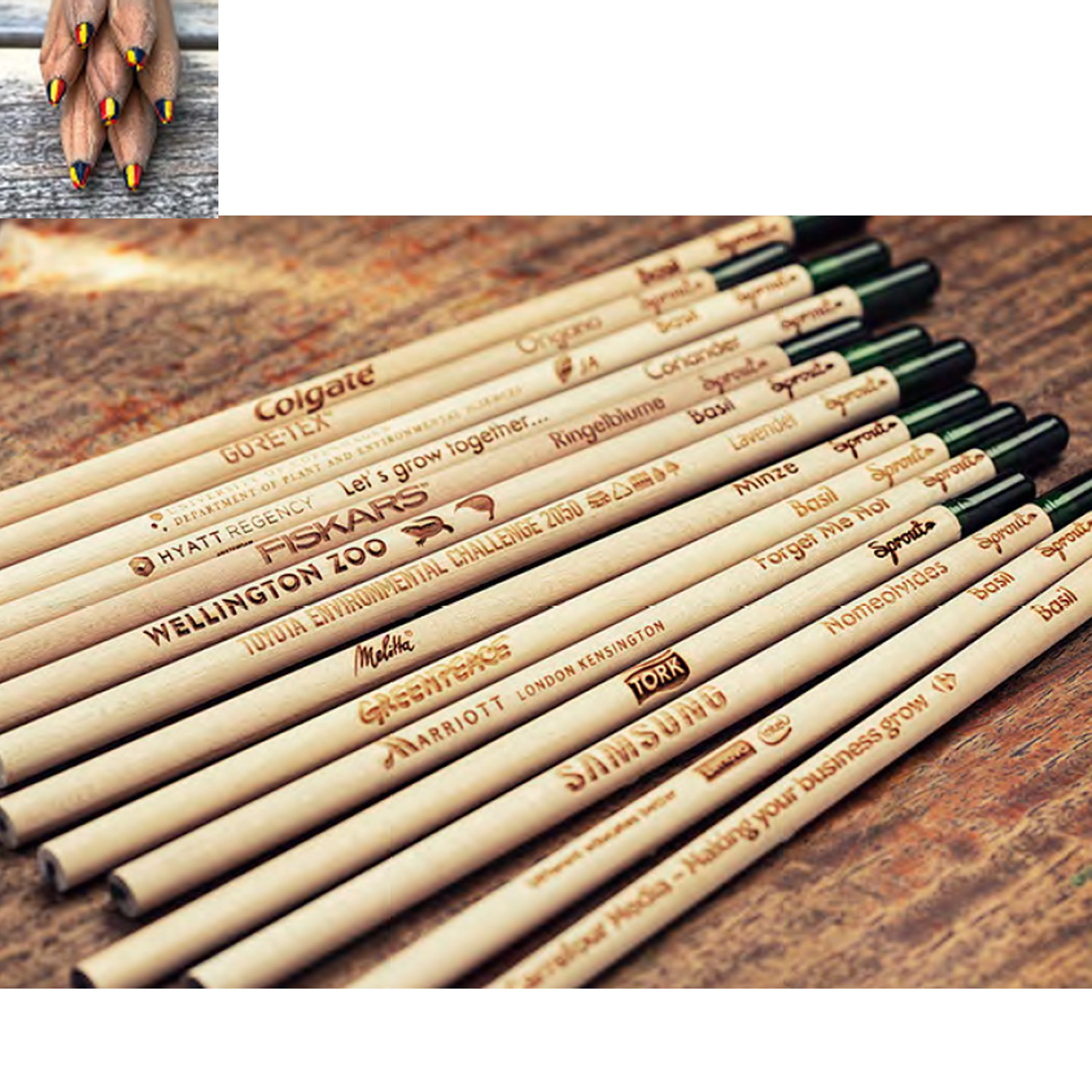 Custom Plantable Tri Colored Pencil | Sustainable Certified