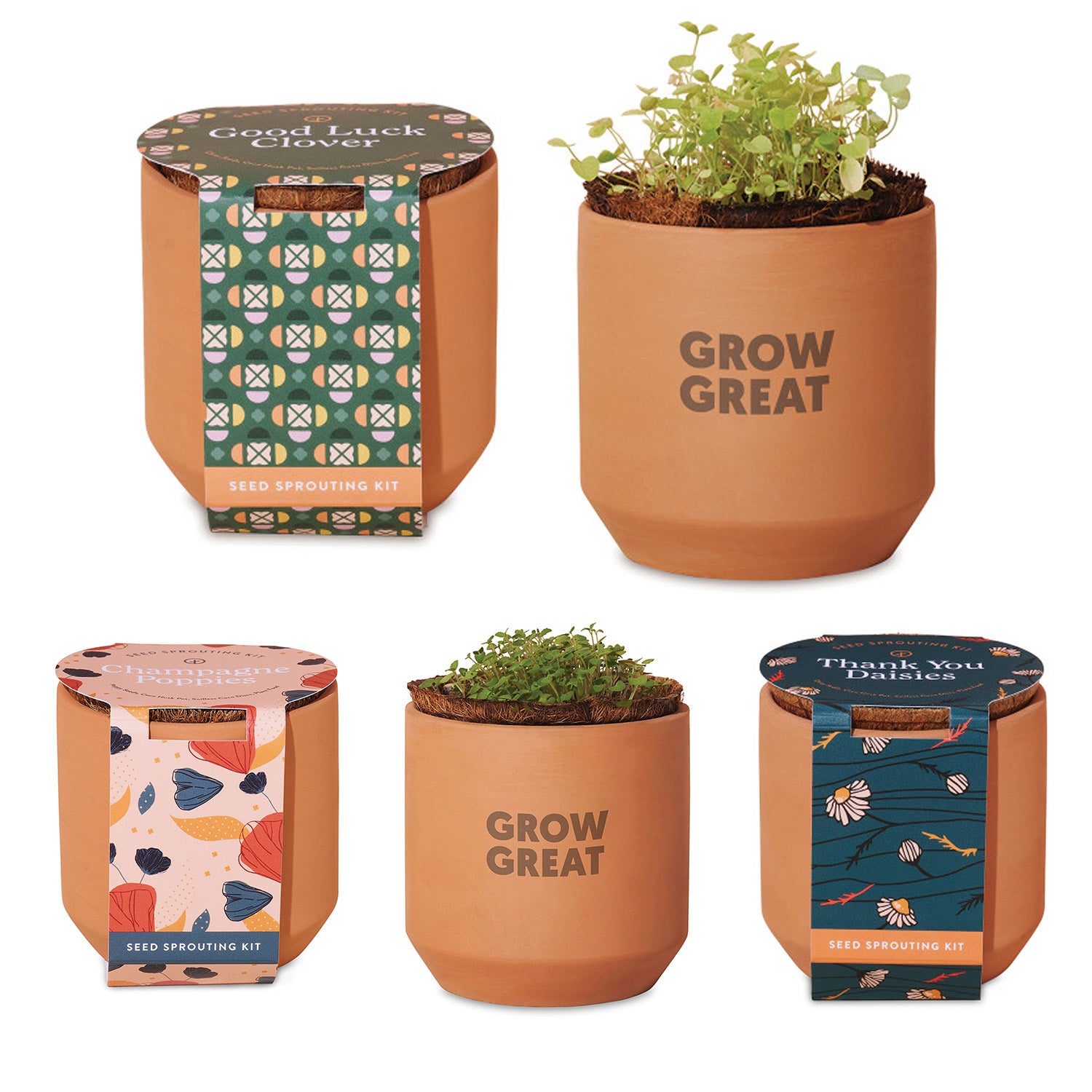 Custom Self Watering Terracotta Grow Kit