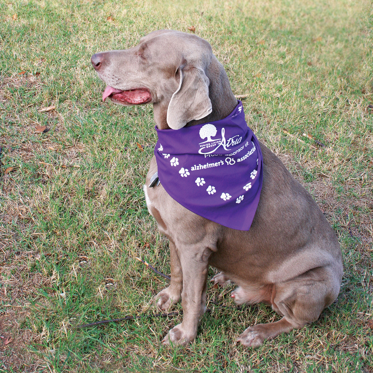 Printed pet bandanas, custom dog bandanas, wholesale dog bandanas, bandanas for dogs, bandanas in bulk
