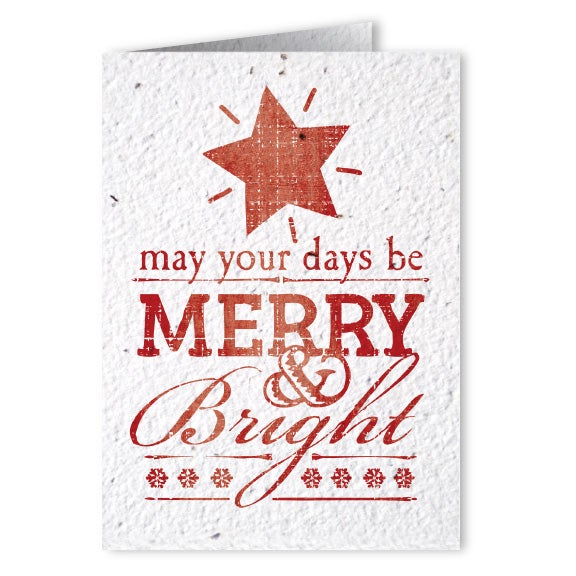 Holiday Card Seed Paper Card Seeded Card Christmas Cards Eco Friendly Christmas Cards