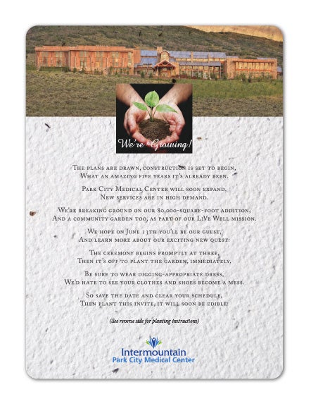 Seed Paper Invitation Seeded Invitation Plantable Invitation Eco Friendly Invitation