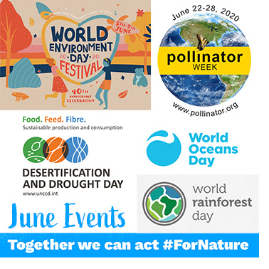 June Virtual Environmental & Humanitarian Events
