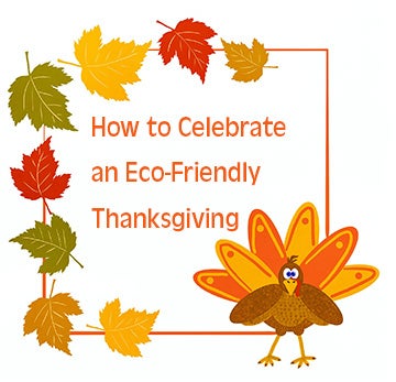 How to Celebrate an Eco-Friendly Thanksgiving 2019 How to Celebrate an Eco-Friendly Thanksgiving 2019