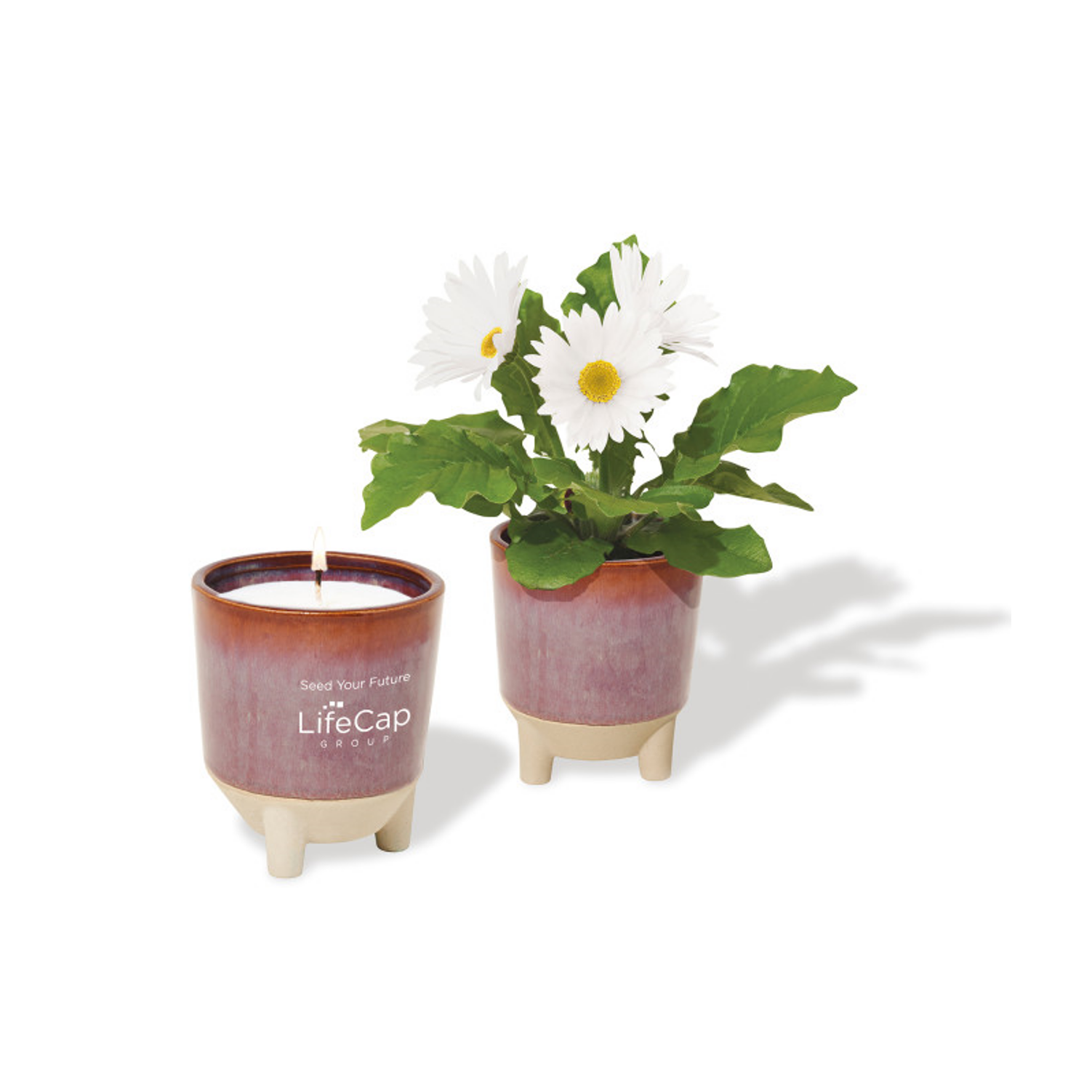 Modern Sprout Glow & Grow Live Well Gift Set