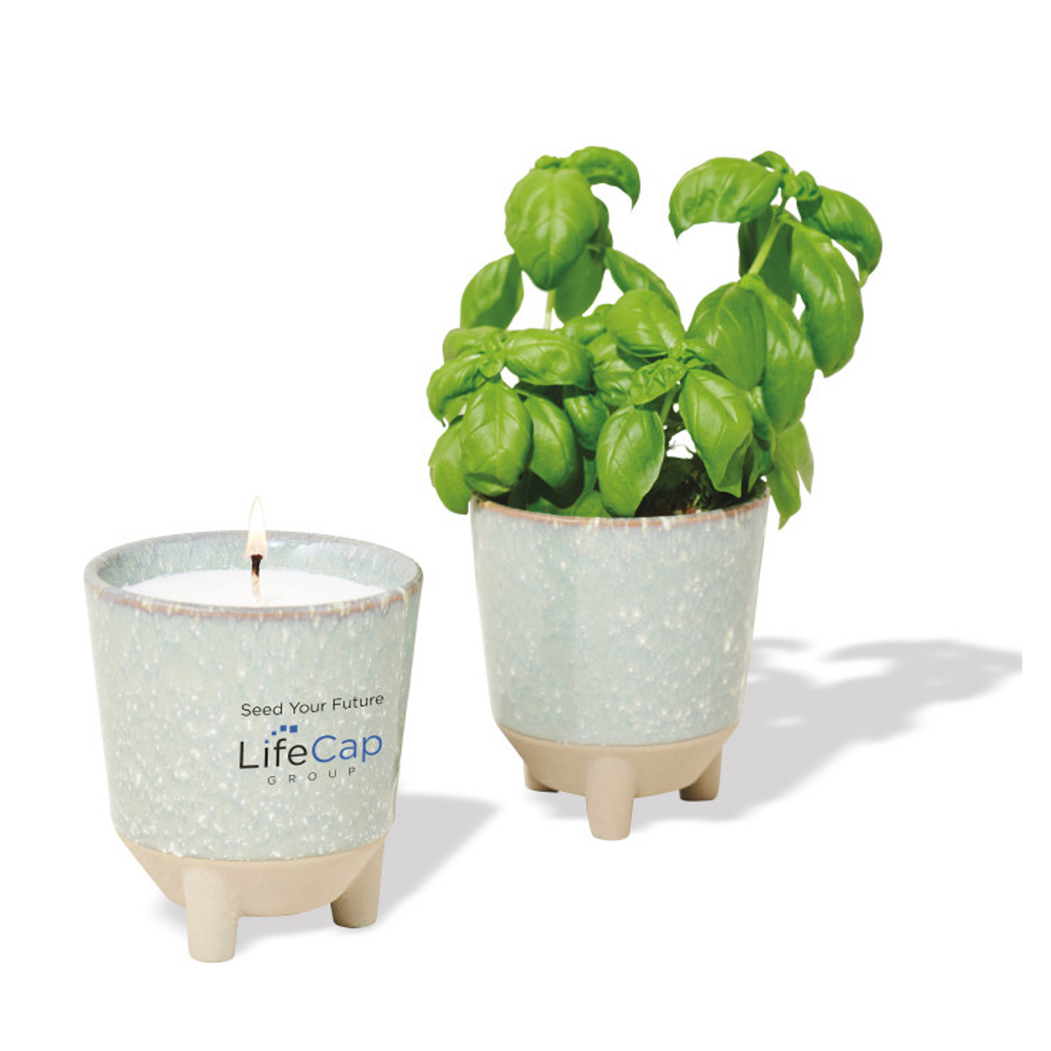 Modern Sprout Glow & Grow Live Well Gift Set