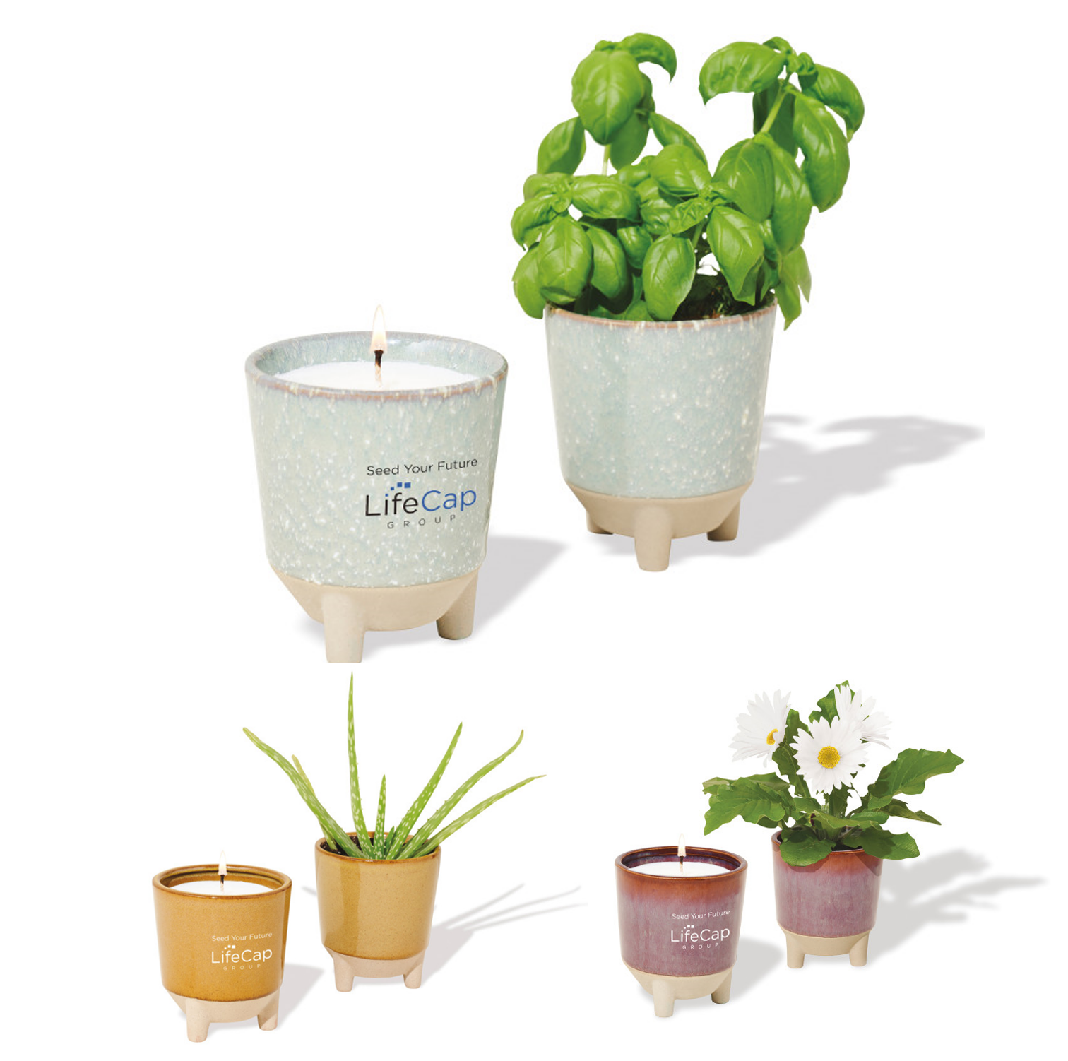Modern Sprout Glow & Grow Live Well Gift Set